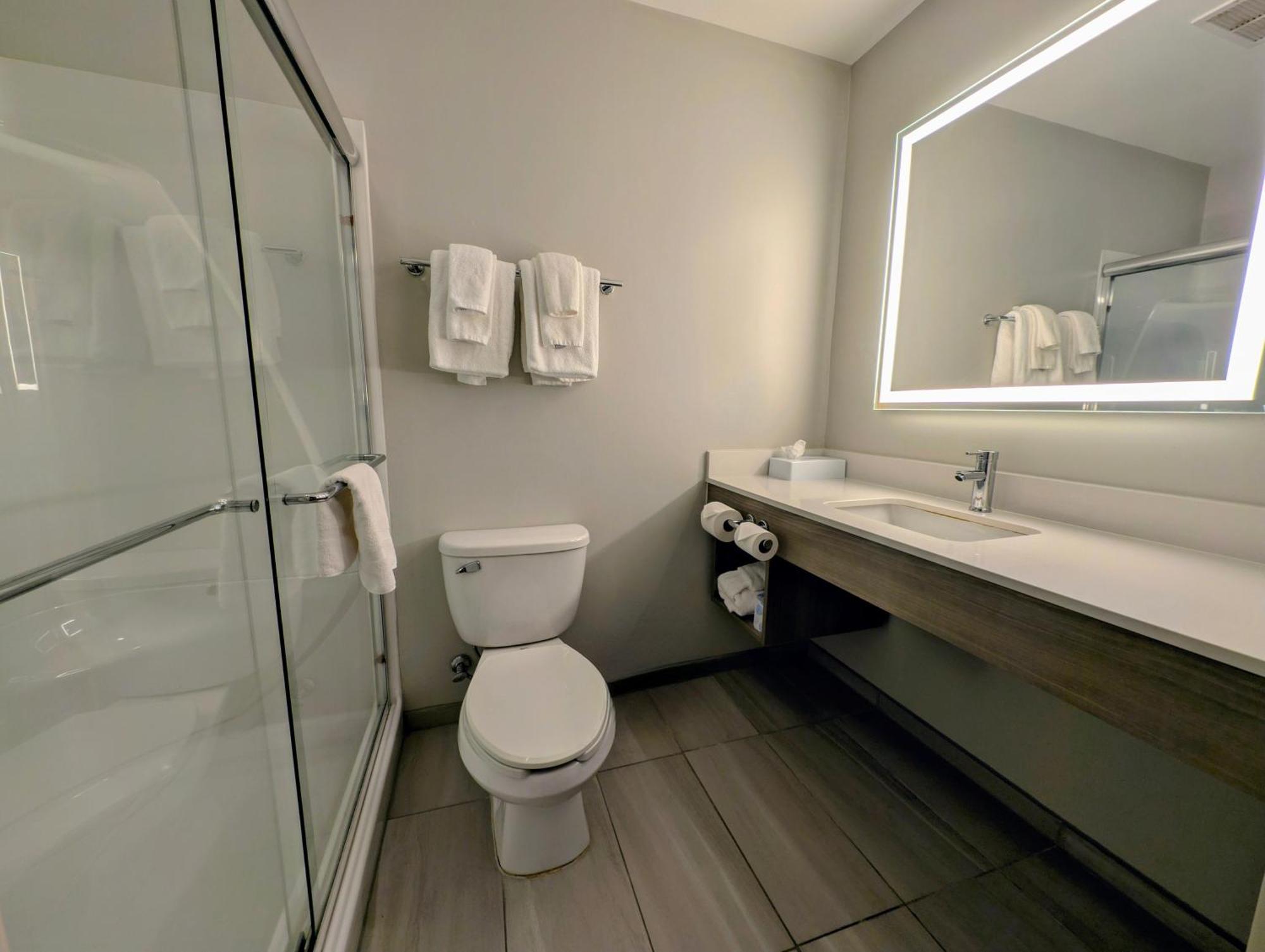Holiday Inn Carbondale - Conference Center By Ihg Экстерьер фото